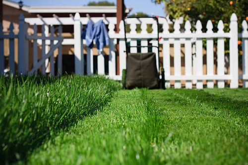 Send invoices for lawn mowing jobs