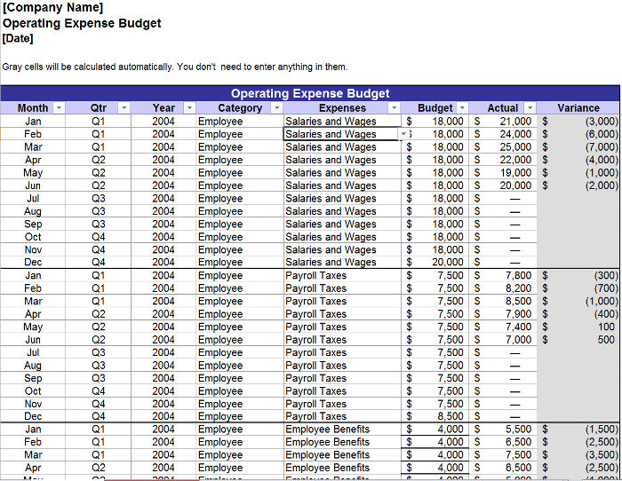 Free Annual Operating Budget Templates InvoiceBerry