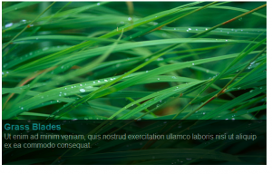 queness_com_screenshot