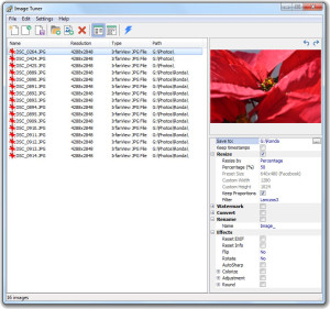 Image Tuner free watermarking tool