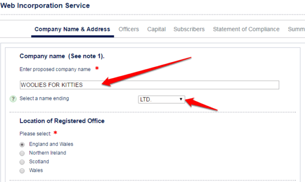 Choose your company name and LTD ending