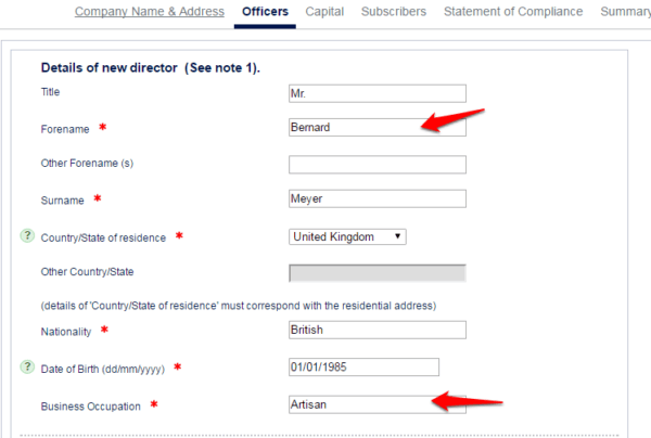 Now you'll need to decide who the director will be