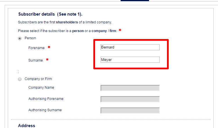 Fill in the info for your subscriber - the first shareholder