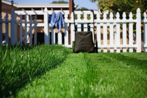 lawn_care_business_invoices_2