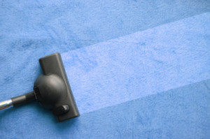 carpet cleaning business advice