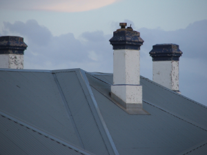 start your chimney sweep business