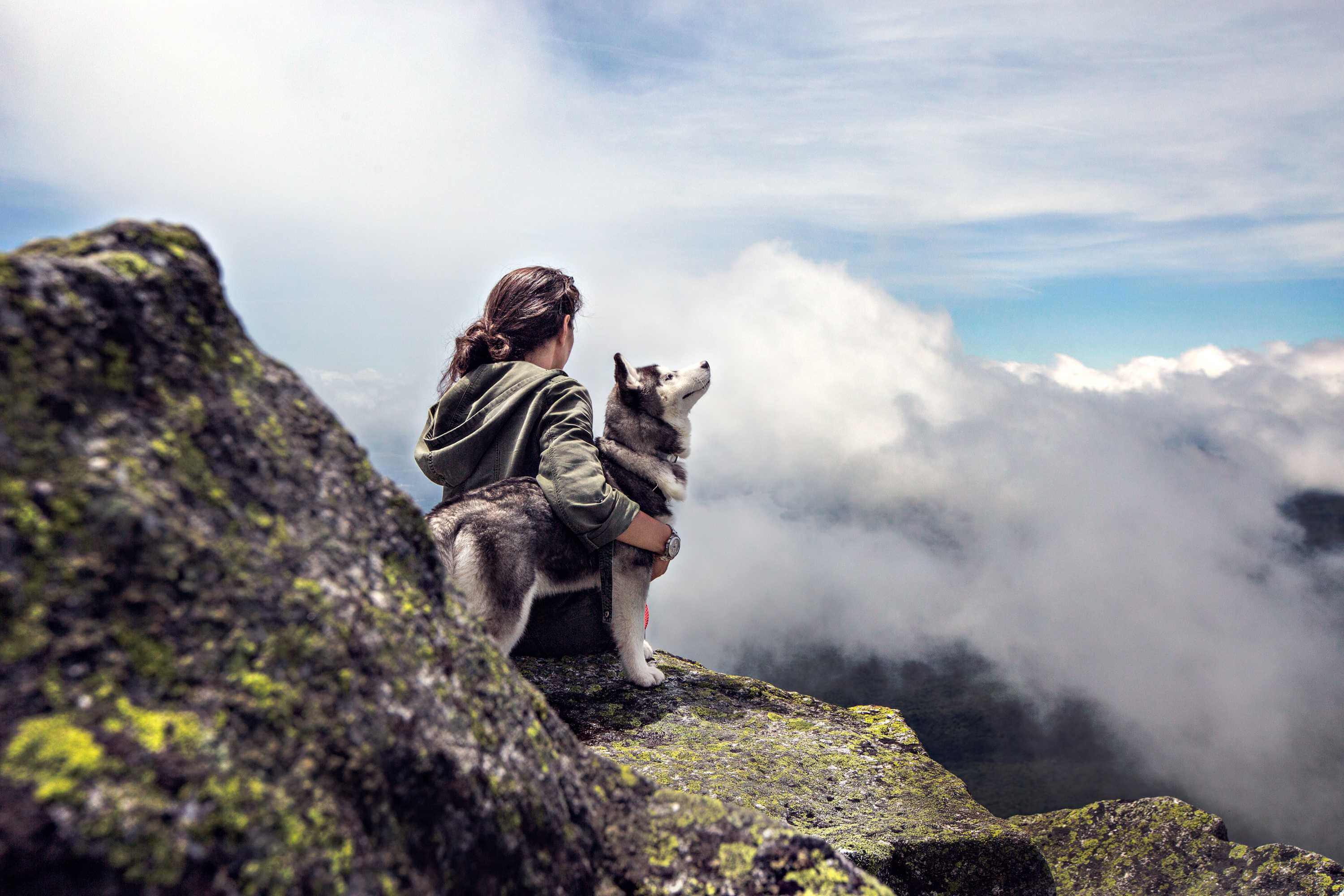 Doing what you love is always rewarding, as I hope your dog care business will be to you!