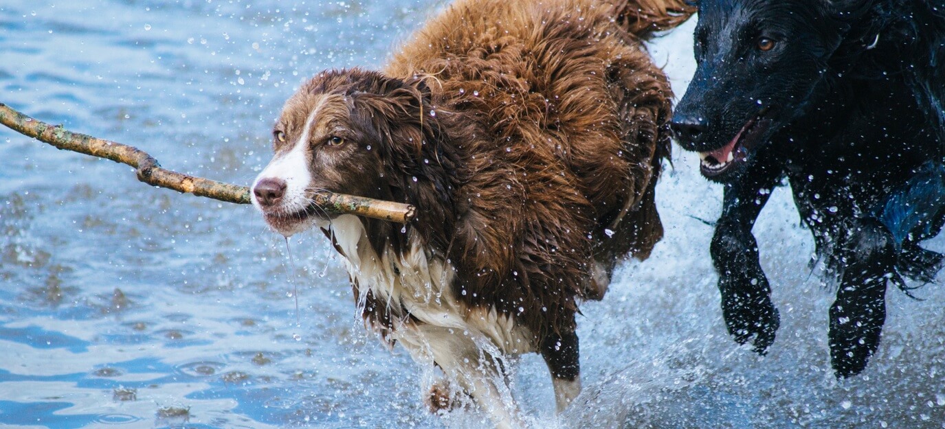 Get ready to face challenges! Sometimes it means youll get a bit wet though.