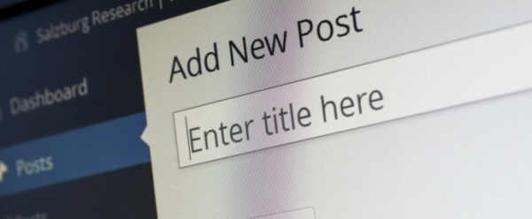 Wordpress is widely used by many bloggers