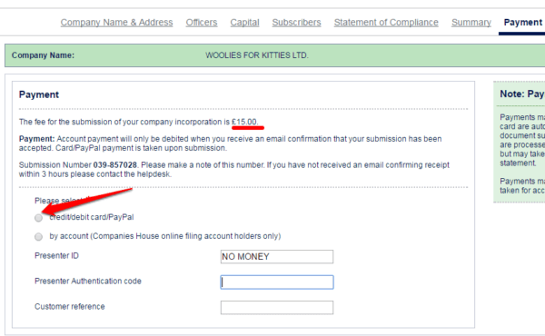 Finally, it's time to pay for your registration, and then you'll have your company