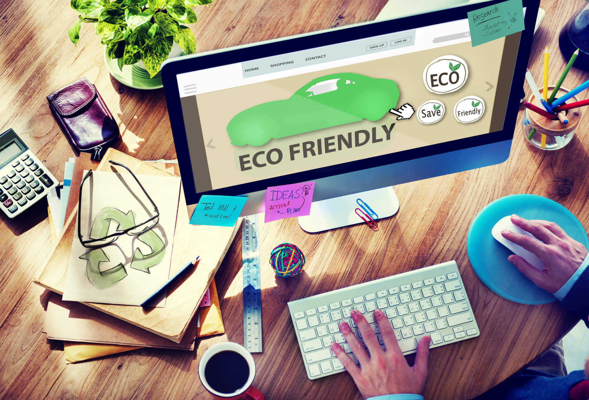 Millennials make purchases in an eco-friendly way
