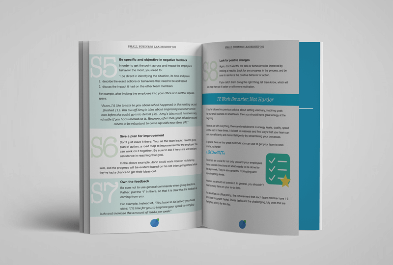 Small Business Leadership 101 covers everything you need to lead your small team