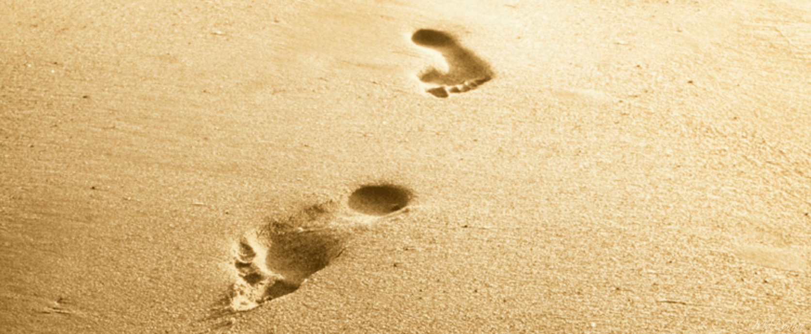 Retracing steps can be crucial as a freelancer.