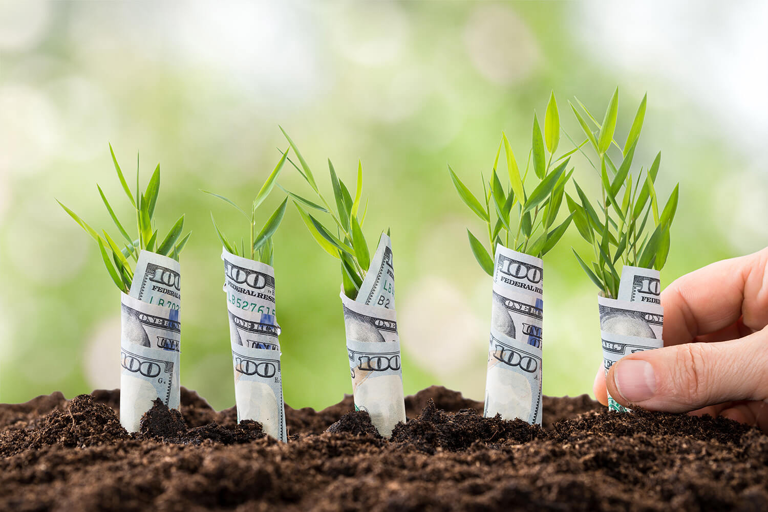 How to grow your small business with the use of CRM Software