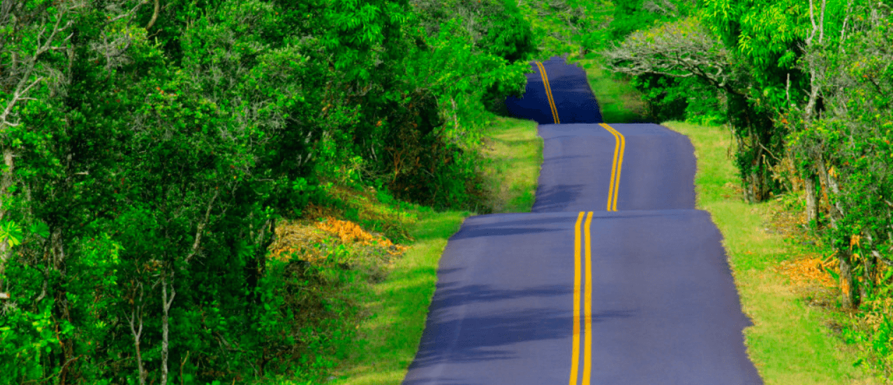 Before running business from the road, consider if your business is viable for that.