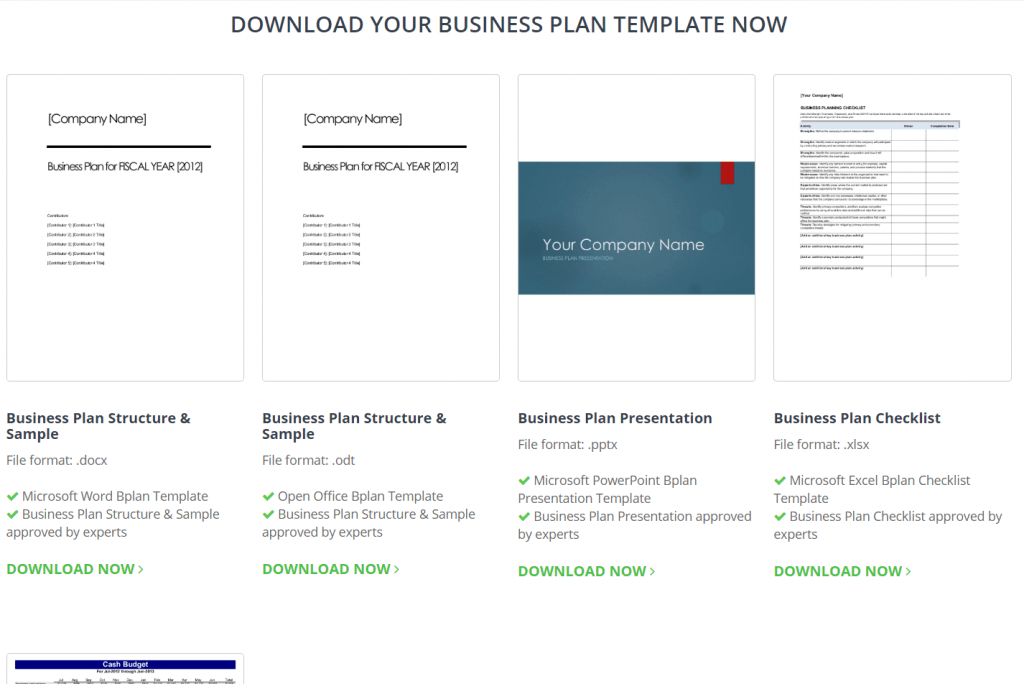 Accounting-Software-InvoiceBerry-Business-Plan