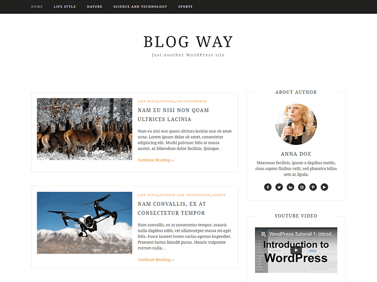 blogway theme homepage