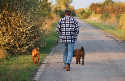 Send invoices for dog walking and dog care services